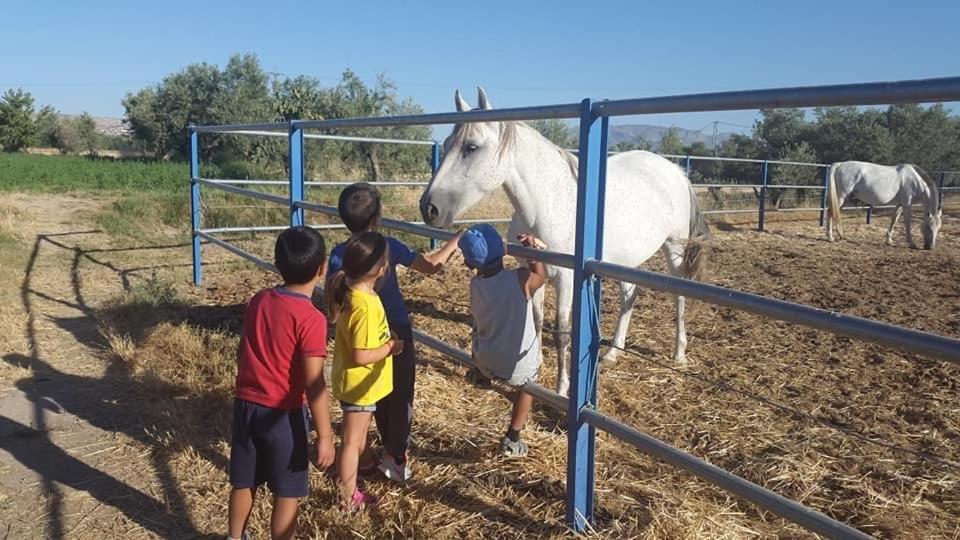 Cortijo Bustamante ξενώνας Μπάθα Εξωτερικό φωτογραφία
